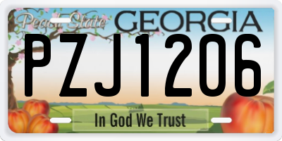 GA license plate PZJ1206