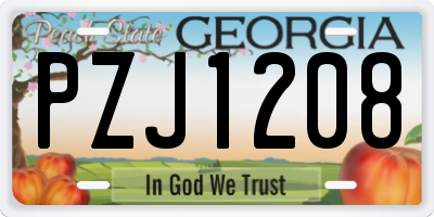 GA license plate PZJ1208