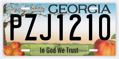 GA license plate PZJ1210