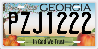 GA license plate PZJ1222