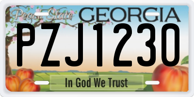 GA license plate PZJ1230