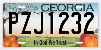 GA license plate PZJ1232