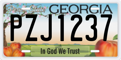 GA license plate PZJ1237