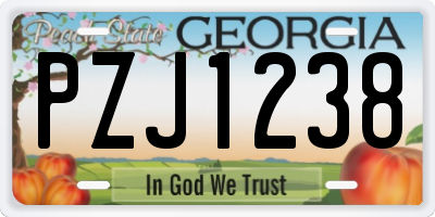 GA license plate PZJ1238