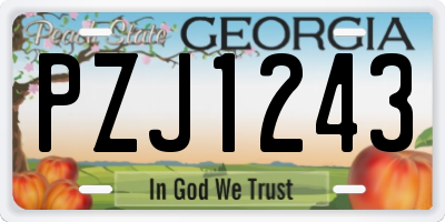 GA license plate PZJ1243