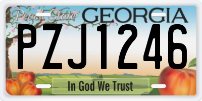 GA license plate PZJ1246