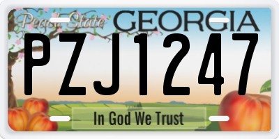 GA license plate PZJ1247