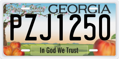 GA license plate PZJ1250