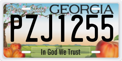 GA license plate PZJ1255