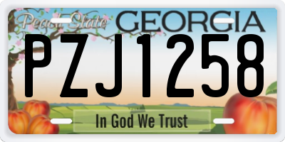 GA license plate PZJ1258