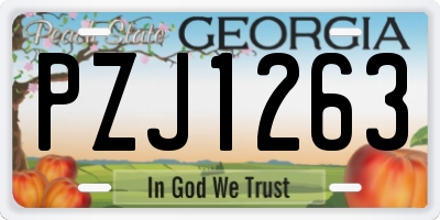 GA license plate PZJ1263