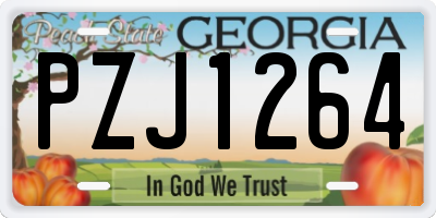 GA license plate PZJ1264