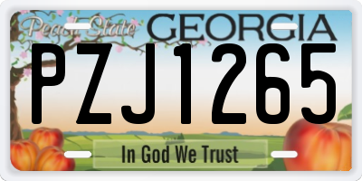 GA license plate PZJ1265