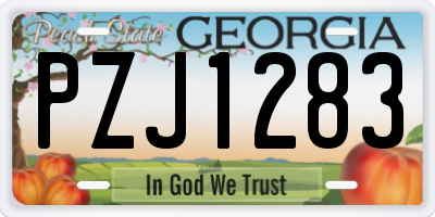 GA license plate PZJ1283