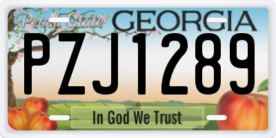 GA license plate PZJ1289