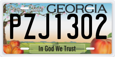 GA license plate PZJ1302