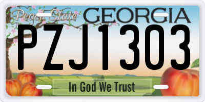 GA license plate PZJ1303