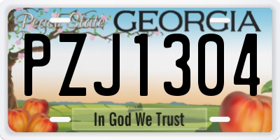 GA license plate PZJ1304