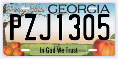 GA license plate PZJ1305