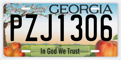 GA license plate PZJ1306
