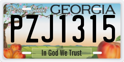 GA license plate PZJ1315