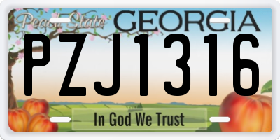 GA license plate PZJ1316