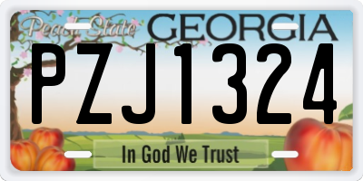 GA license plate PZJ1324