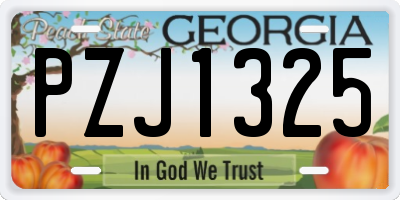 GA license plate PZJ1325