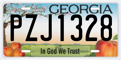 GA license plate PZJ1328