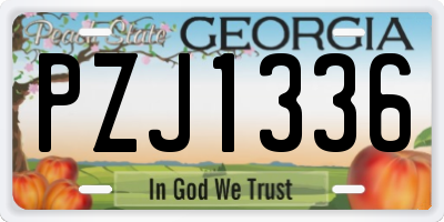 GA license plate PZJ1336
