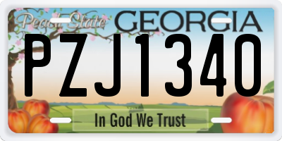 GA license plate PZJ1340