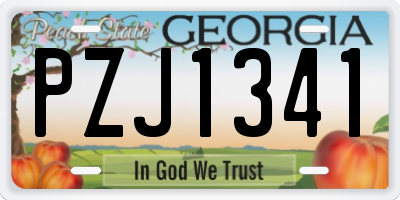 GA license plate PZJ1341