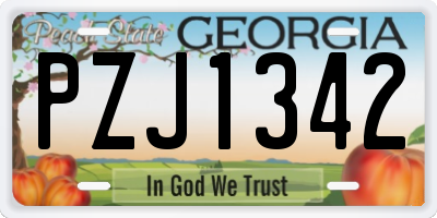 GA license plate PZJ1342
