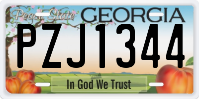 GA license plate PZJ1344
