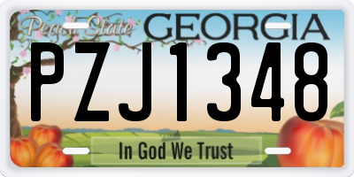 GA license plate PZJ1348