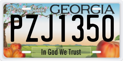 GA license plate PZJ1350