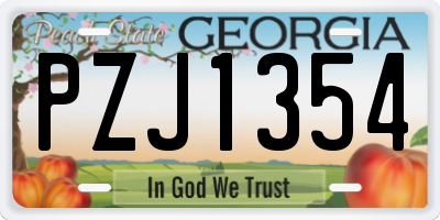 GA license plate PZJ1354