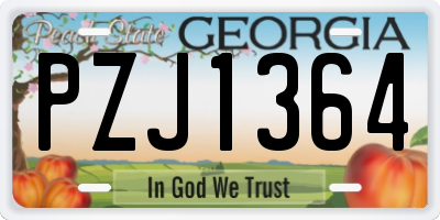 GA license plate PZJ1364