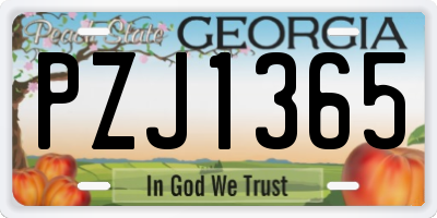 GA license plate PZJ1365