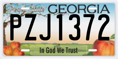 GA license plate PZJ1372