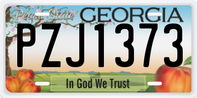 GA license plate PZJ1373
