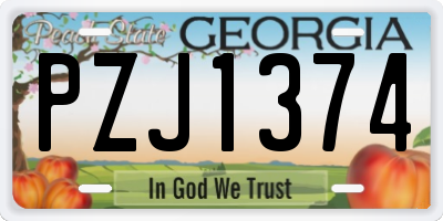 GA license plate PZJ1374
