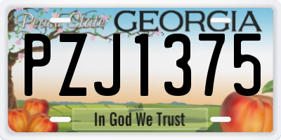 GA license plate PZJ1375