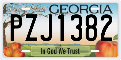 GA license plate PZJ1382