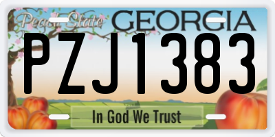 GA license plate PZJ1383