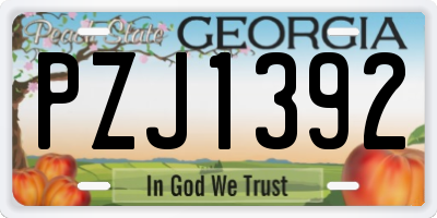 GA license plate PZJ1392