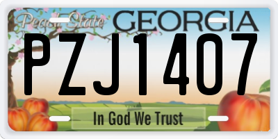 GA license plate PZJ1407