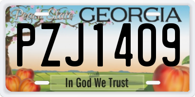 GA license plate PZJ1409