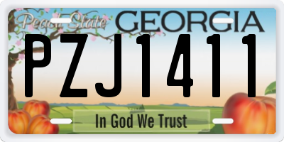 GA license plate PZJ1411