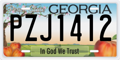 GA license plate PZJ1412